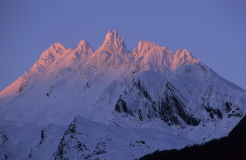 Andes fueguinos - Antolakuntzaren hautaketa