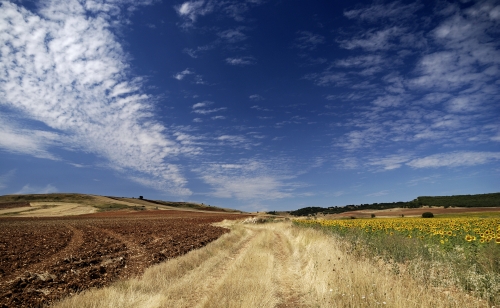 Burgos