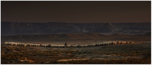 Paseo por Bardenas - I