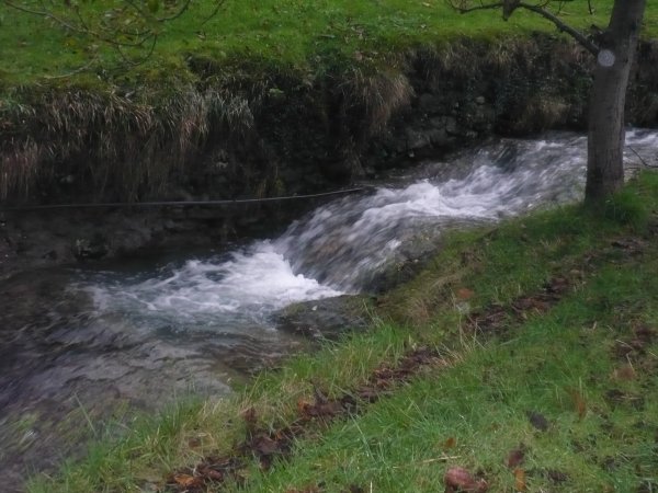 Antolakuntzak aukeratua. Gaia: Udazkena